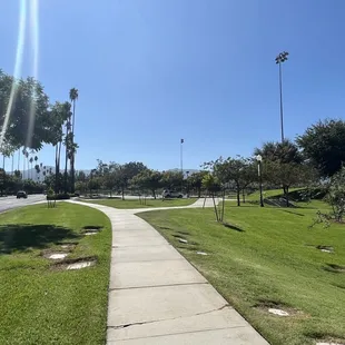 Many paths