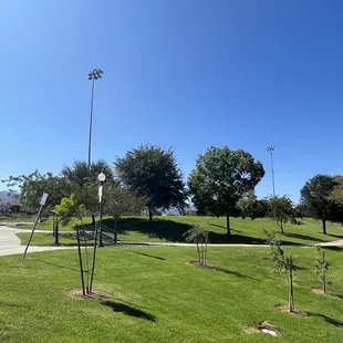 Pathways