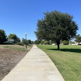 Paths