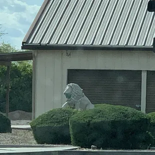 4/13/20 The mask is fun