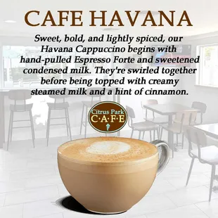 Cafe Havana.
