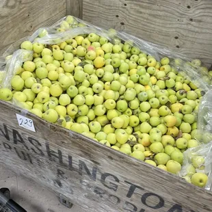 A bin of apples. (Citrus Plaza Market gets three bin's of fruit every week depending on the season, the fruit changes. Always top notch