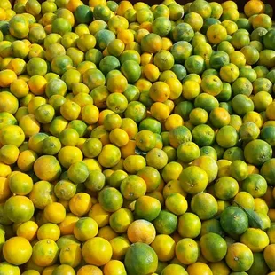 DELICIOUS MANDARINS JUST ARRIVED :)