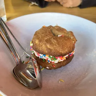 Homemade Icecream sandwich