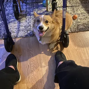 Finn with a big smile after a taste of bbq