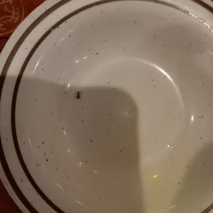 Found roach on my plate This is unacceptable. This is so unprofessional. And honestly I would never eat here ever again.