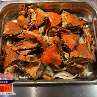 oysters and mussels