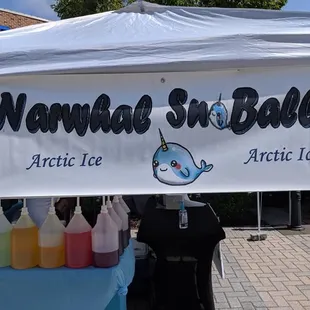 Make your own snow cones!