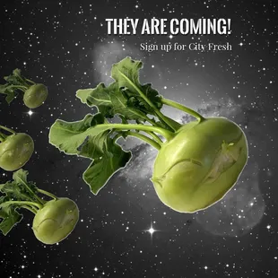 a turnip with the words they are coming
