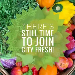 there&apos;s still time to join city fresh