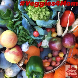City Fresh offers two size shares and week-to-week ordering.