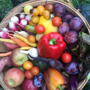 @CityFresh Family Share in mid season only $30 (or $18 for lower income households)