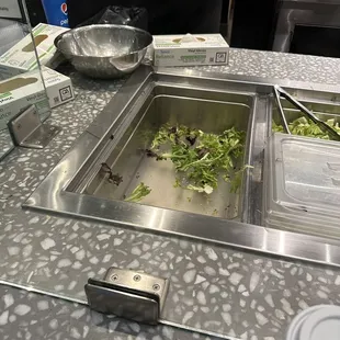 Empty lettuce trays