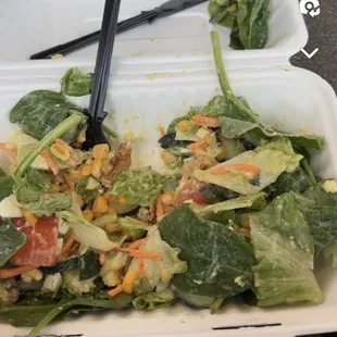 Amazing salad from City Greens. Not many vegan or plant based options at the airport, grateful for City Greens