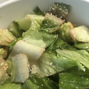 Can't get over this lettuce !