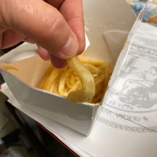 Floppy french fries