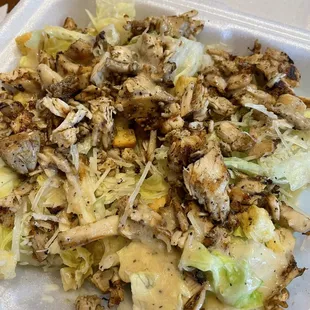 Chicken Ceasar Salad