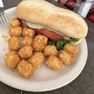 Italian Sub with tots