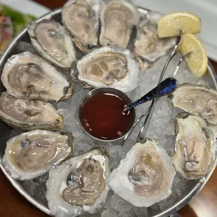 Oysters