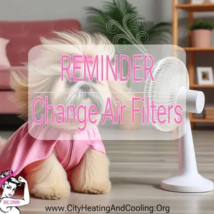 Here is your friendly reminder to change your Air Filters!