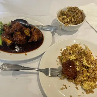 General Tso's Chicken &amp; fried rice