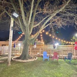 Shade tree