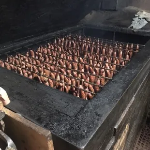 ribs