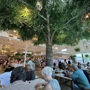 Full house at grand opening day