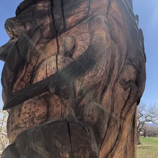 Tree of life sculpture