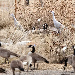 Visitor Center Garden in Winter