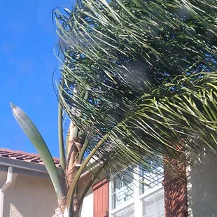 Pretty much everything you need to know about Antioch.