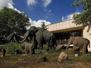 Geier Collections & Research Center