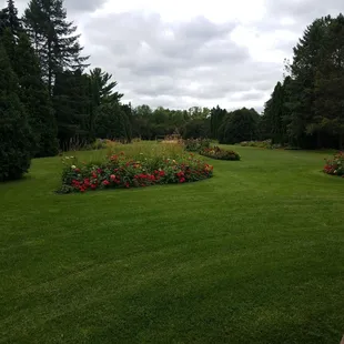 Nice flowers and fountain