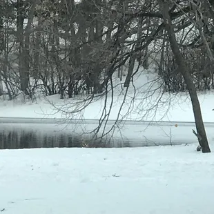 A lake where a field is supposed to be.