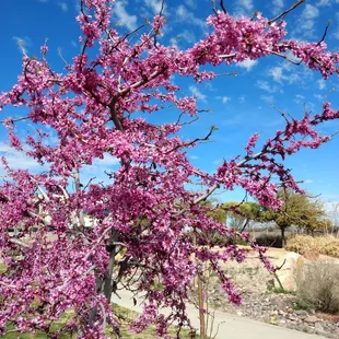 City of El Paso Park