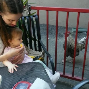 4/1/18 Having lunch at Fair Oaks Coffee House &amp; Deli on Easter!