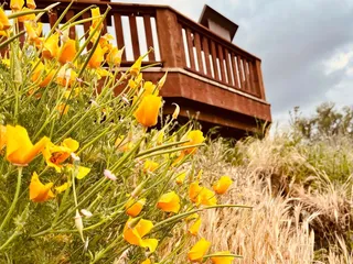 Nimbus Fish Hatchery