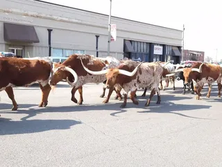 Stockyards City Main Street