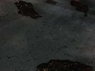 El Cerrito Sports Park