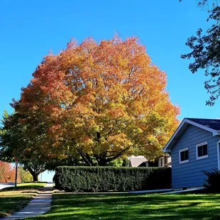 Loving the beautiful autumn  colors
