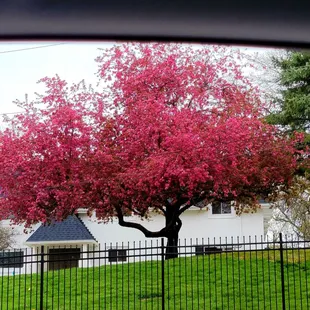 Love the colors of Nature