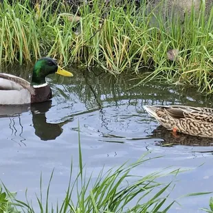 Highland Park Reserve