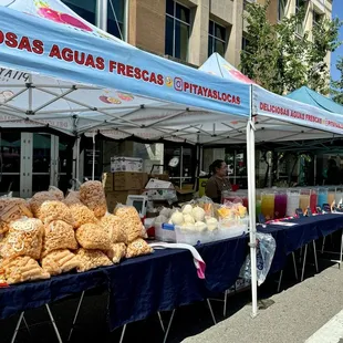 06.09.24 Pitayas Locas at the World's Worst Expo at the Vernon Street Town Square