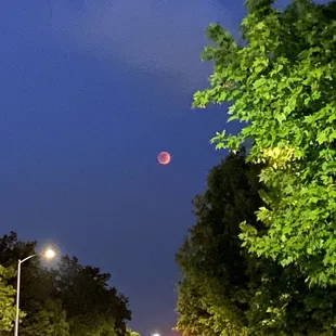 05.15.22 The Super Flower Blood Moon lunar eclipse of 2022 (time: 9:11p)
