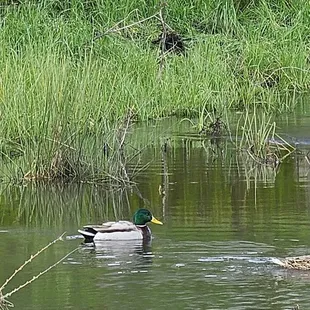 Highland Park Reserve