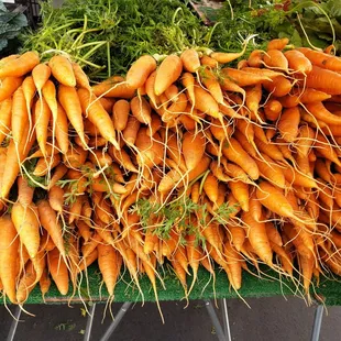 Stockton Farmers Market
