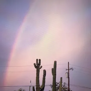 Rainbow after the rain!