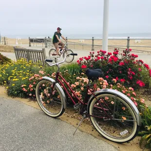 City of Virginia Beach
