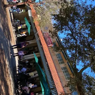 Cafe DuMonde at the park 12/30/24