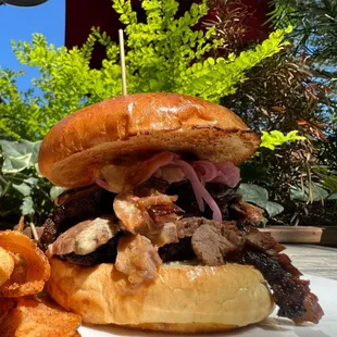 Brisket Sandwich